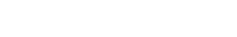 Rakuten SAIKYO Plan