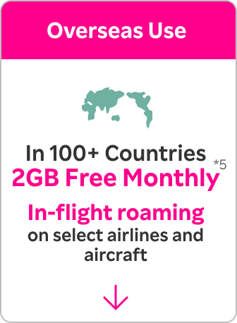 Overseas Use: In 100+ countries, 2GB free monthly. In-flight roaming available on select airlines and aircraft! *5