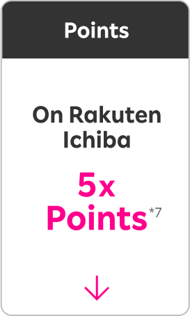 Points On Rakuten Ichiba 5xPoints *4