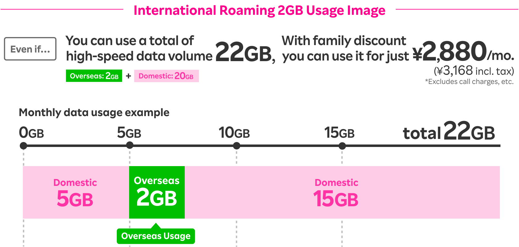 International Roaming 2GB Usage Image