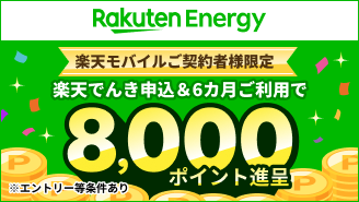 【要エントリー】楽天モバイルご契約者様限定。楽天でんき申し込み&6カ月ご利用で8,000ポイント進呈。