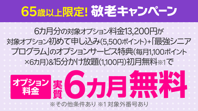 【要エントリー】65歳以上限定 敬老キャンペーン！オプションサービスに初めて申し込みでポイント還元