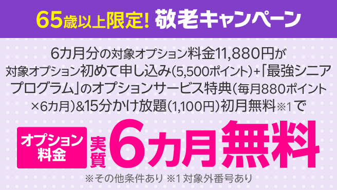 【要エントリー】65歳以上限定 敬老キャンペーン！オプションサービスに初めて申し込みでポイント還元