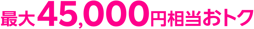 最大45,000円相当おトク