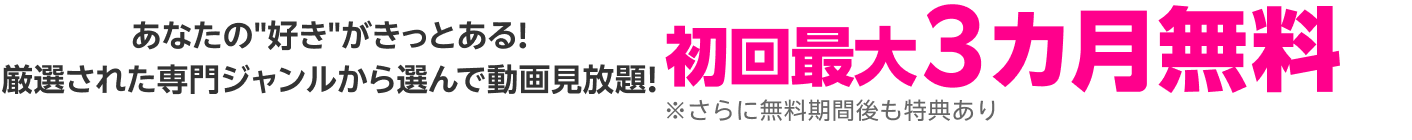 あなたの好きがきっとある！厳選された専門ジャンルから選んで動画見放題！初回最大3カ月無料さらに無料期間後も特典あり