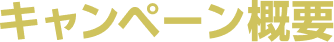 キャンペーン概要