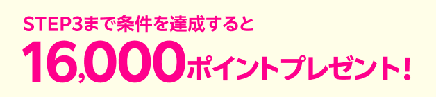 STEP3 まで条件を達成すると16,000ポイントプレゼント！