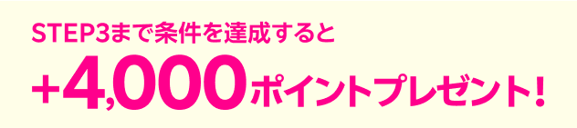 STEP3まで条件を達成すると+4,000ポイントプレゼント！