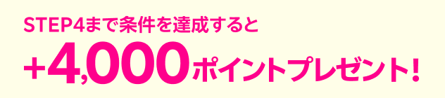 STEP4まで条件を達成すると+4,000ポイントプレゼント！