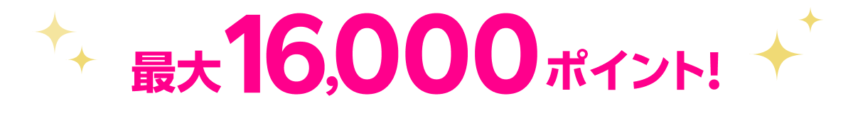 最大16,000ポイント