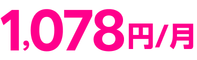 1,078円/月