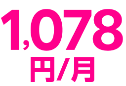 1,078円/月