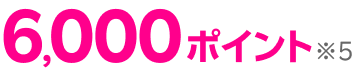 6,000ポイント※5