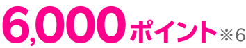 6,000ポイント※5