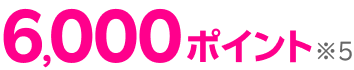 6,000ポイント※5