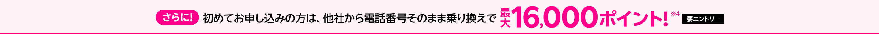 さらに!【要エントリー】初めてお申し込みの方は、他社から電話番号そのまま乗り換えで最大16,000ポイント※4