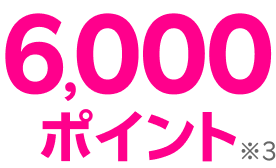 6,000ポイント※3