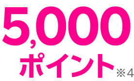 5,000ポイント※4