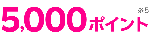 5,000ポイント※5