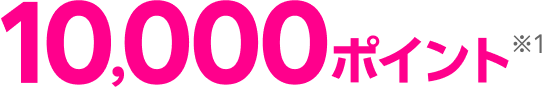 10,000ポイント※1