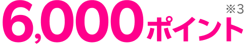 6,000ポイント※3