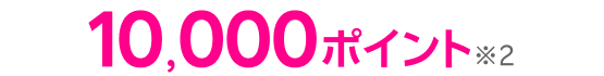 10,000ポイント※2