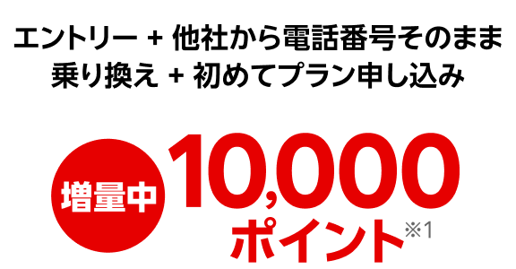 エントリー + 他社から電話番号そのまま乗り換え + 初めてプラン申し込み 増量中10,000ポイント※1
