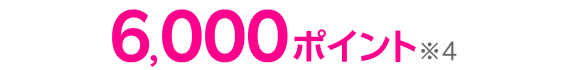 6,000ポイント※3