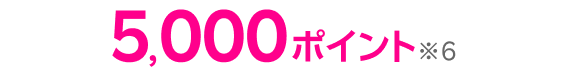 5,000ポイント※5