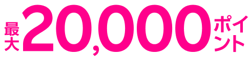 最大20,000ポイント