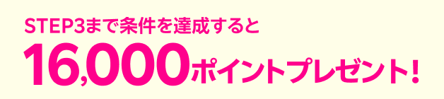 STEP3 まで条件を達成すると16,000ポイントプレゼント！