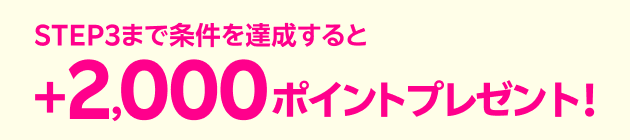STEP3まで条件を達成すると+2,000ポイントプレゼント！