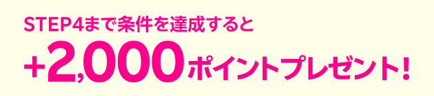 STEP4まで条件を達成すると+2,000ポイントプレゼント！