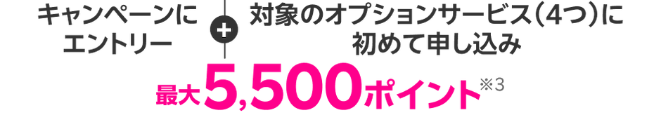 キャンペーンにエントリー+対象のオプションサービス(4つ)に初めて申し込み 5,500ポイント※3