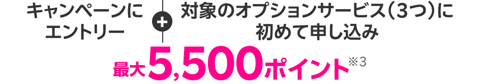 キャンペーンにエントリー＋対象のオプションサービス（3つ）に初めて申し込み 5,500ポイント※3