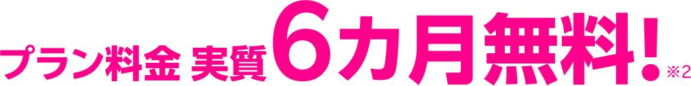 プラン料金 実質6カ月無料!※2