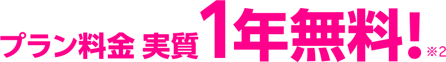 プラン料金 実質1年無料!※2