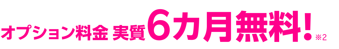 オプション料金 実質6カ月無料!※2