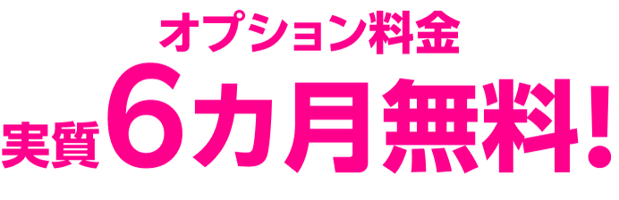 プラン料金 実質6カ月無料!