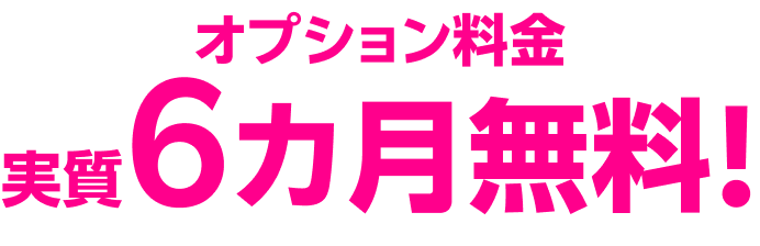 プラン料金 実質6カ月無料!