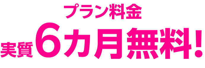 プラン料金 実質6カ月無料!