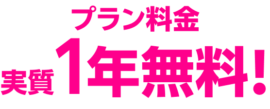 プラン料金 実質1年無料!