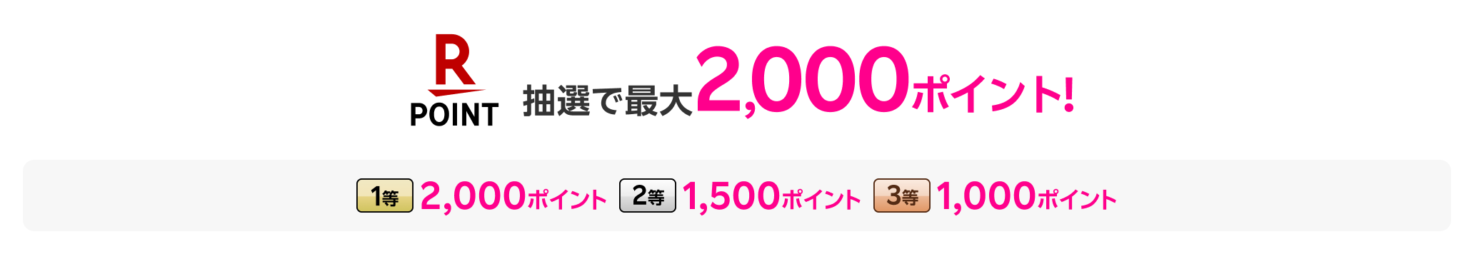 楽天ポイント2,000ポイント!