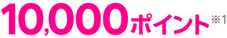 10,000ポイント