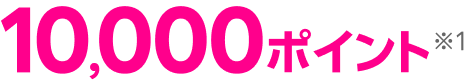 10,000ポイント