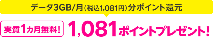 データ 3GB/月（税込1,081円）分ポイント還元 実質1カ月無料！ 楽天ポイント1,081ポイントプレゼント！