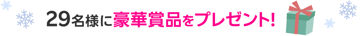 29名様に豪華賞品をプレゼント!