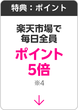 特典:ポイント 楽天市場でポイント5倍※4