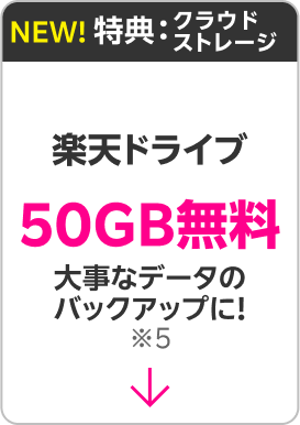 クラウドストレージ:大事なデータのバックアップに!楽天ドライブ50GB無料※5