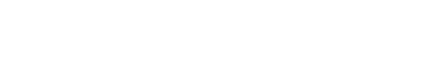 Rakuten最強プラン データタイプ